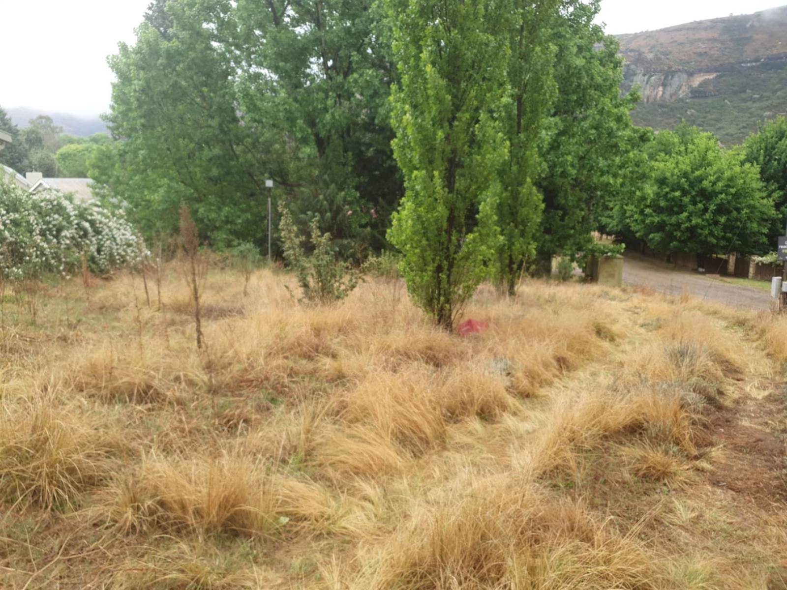 851 m² Land available in Clarens photo number 4