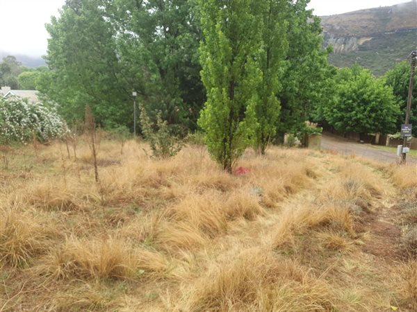 851 m² Land available in Clarens
