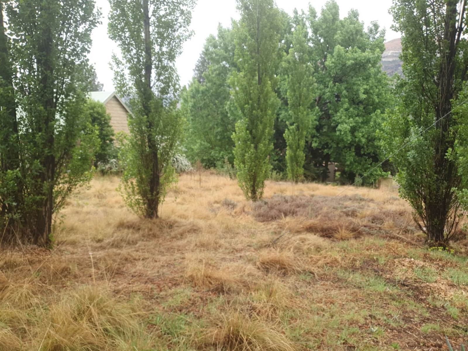 851 m² Land available in Clarens photo number 6