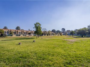 1 Bed Apartment in Blackheath