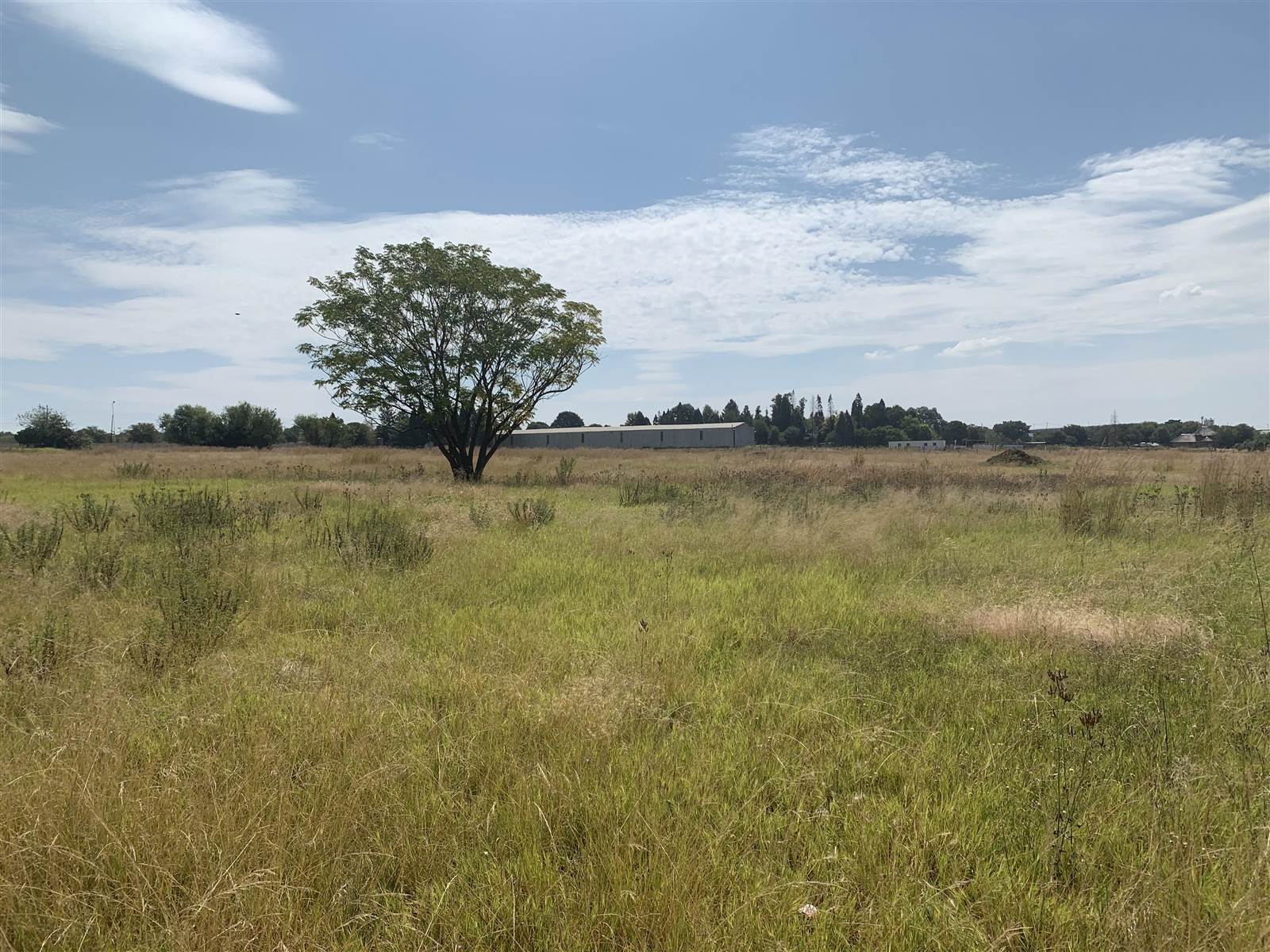 26000 ha Land available in Monavoni photo number 6