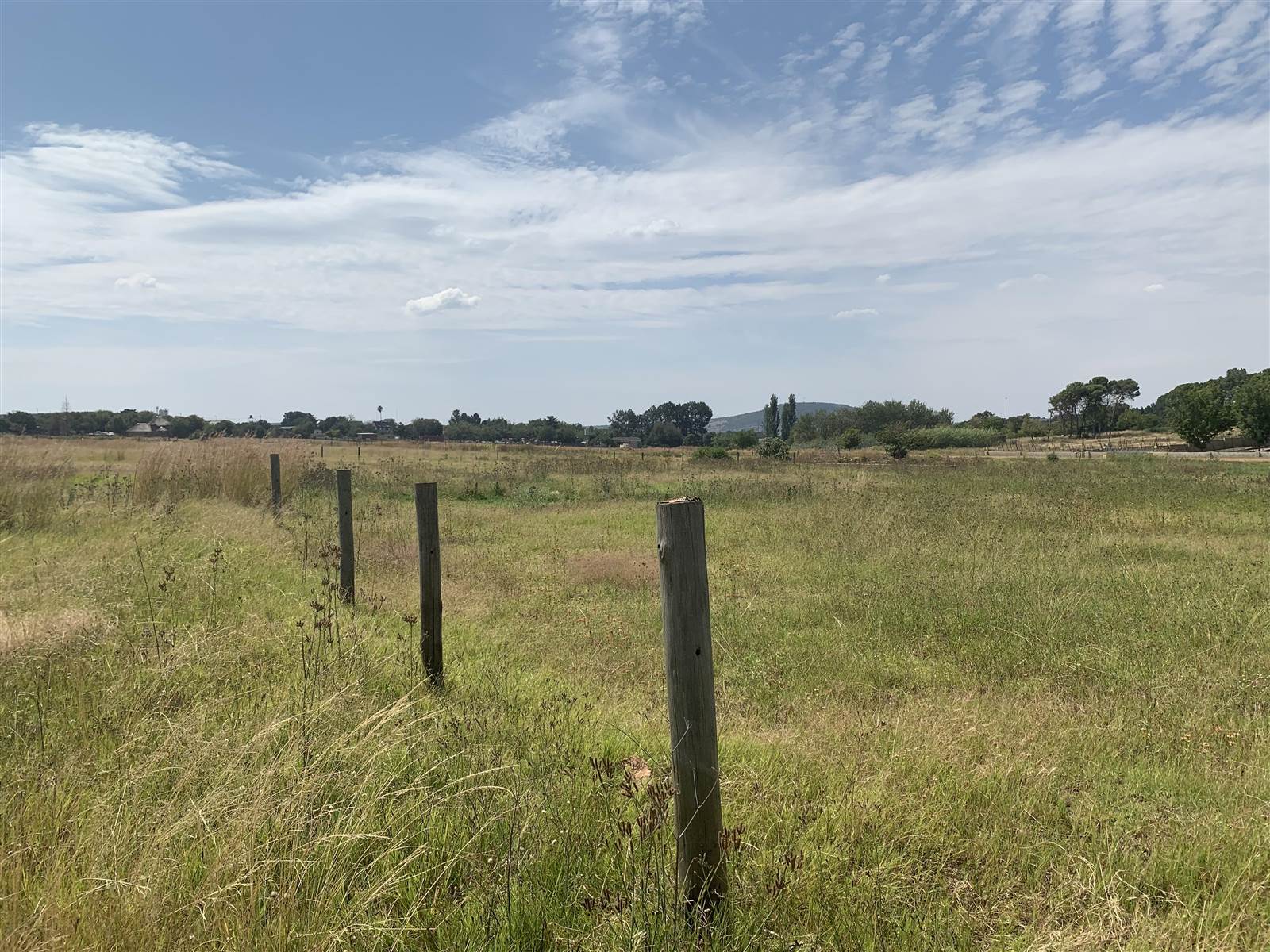 26000 ha Land available in Monavoni photo number 12