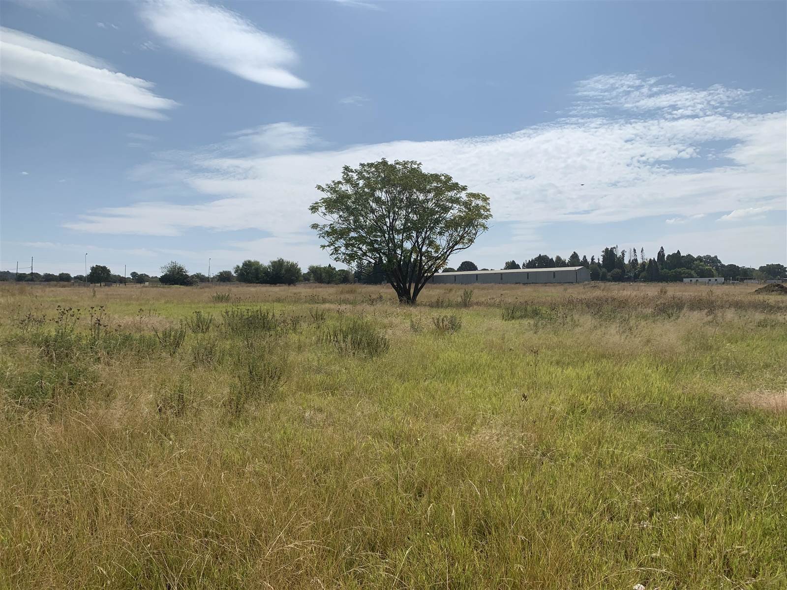 26000 ha Land available in Monavoni photo number 2