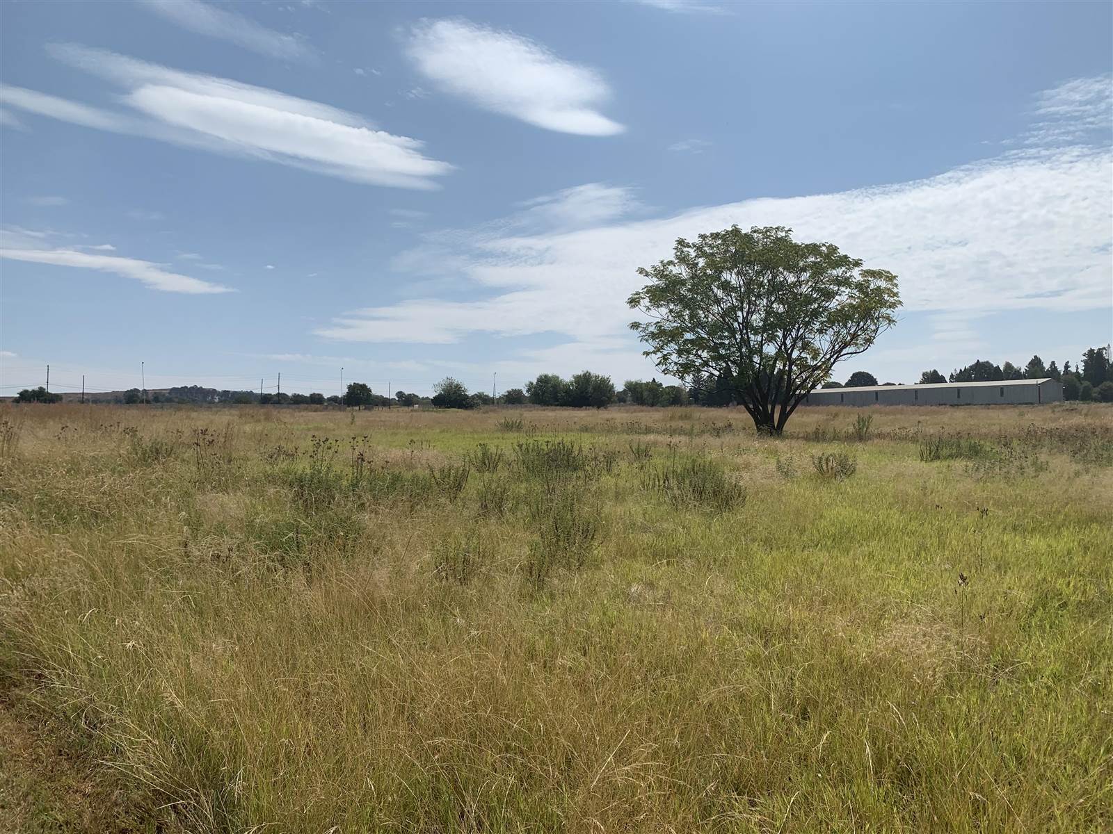 26000 ha Land available in Monavoni photo number 4