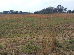 8907 m² Land available in Homestead Apple Orchards