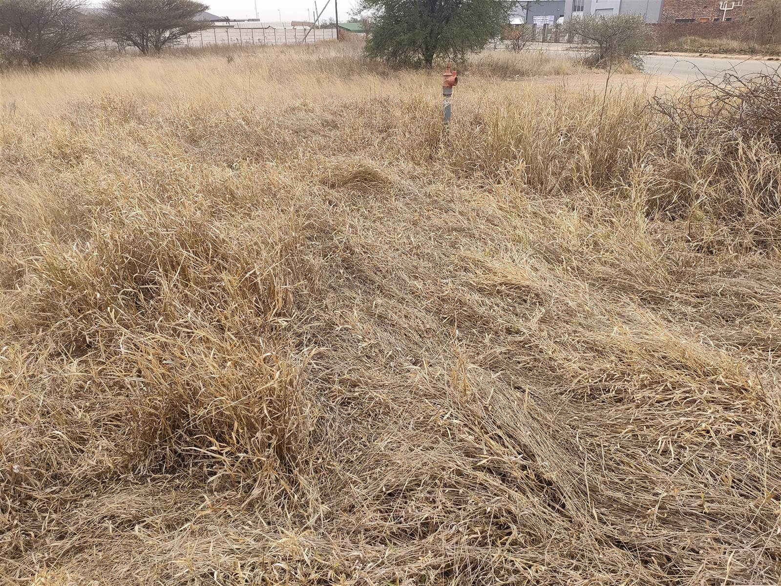 1600 m² Land available in Polokwane Central photo number 5