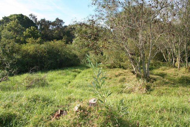 4.5 ha Land available in Knysna Central photo number 7