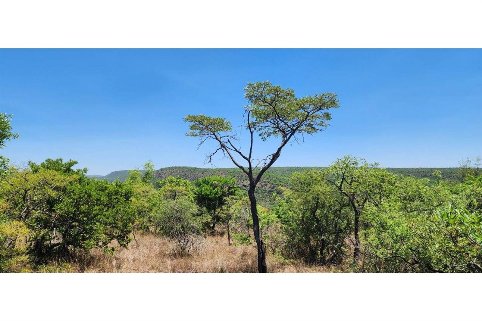 9888 m² Land available in Bela-Bela (Warmbaths) photo number 9