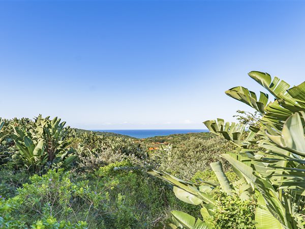 1455 m² Land available in Zimbali Estate