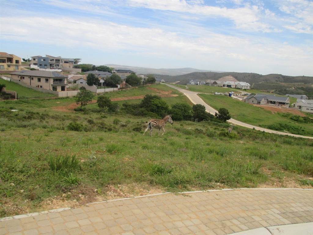 500 m² Land available in Hartenbos photo number 7