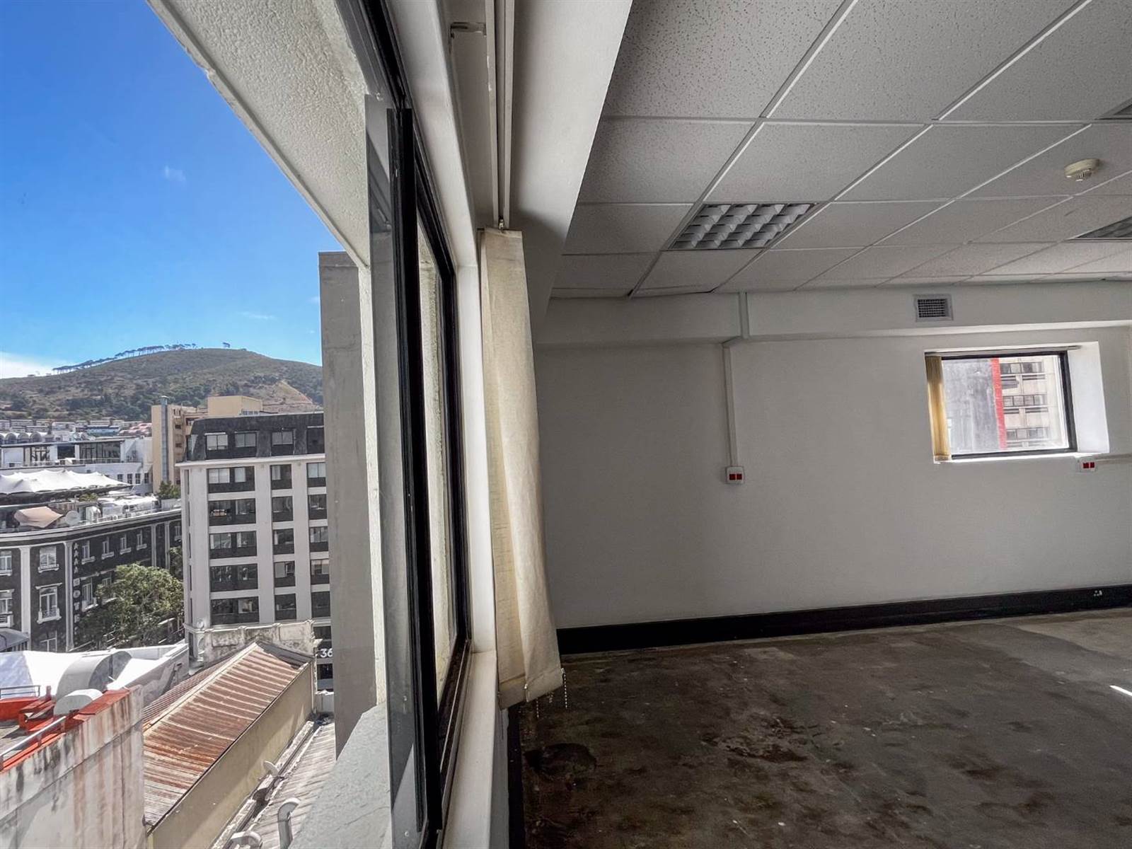 394  m² Office Space in Cape Town City Centre photo number 13