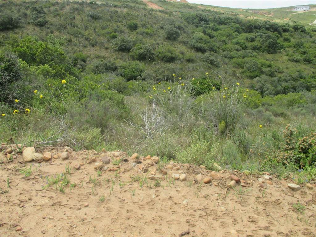 500 m² Land available in Hartenbos photo number 6