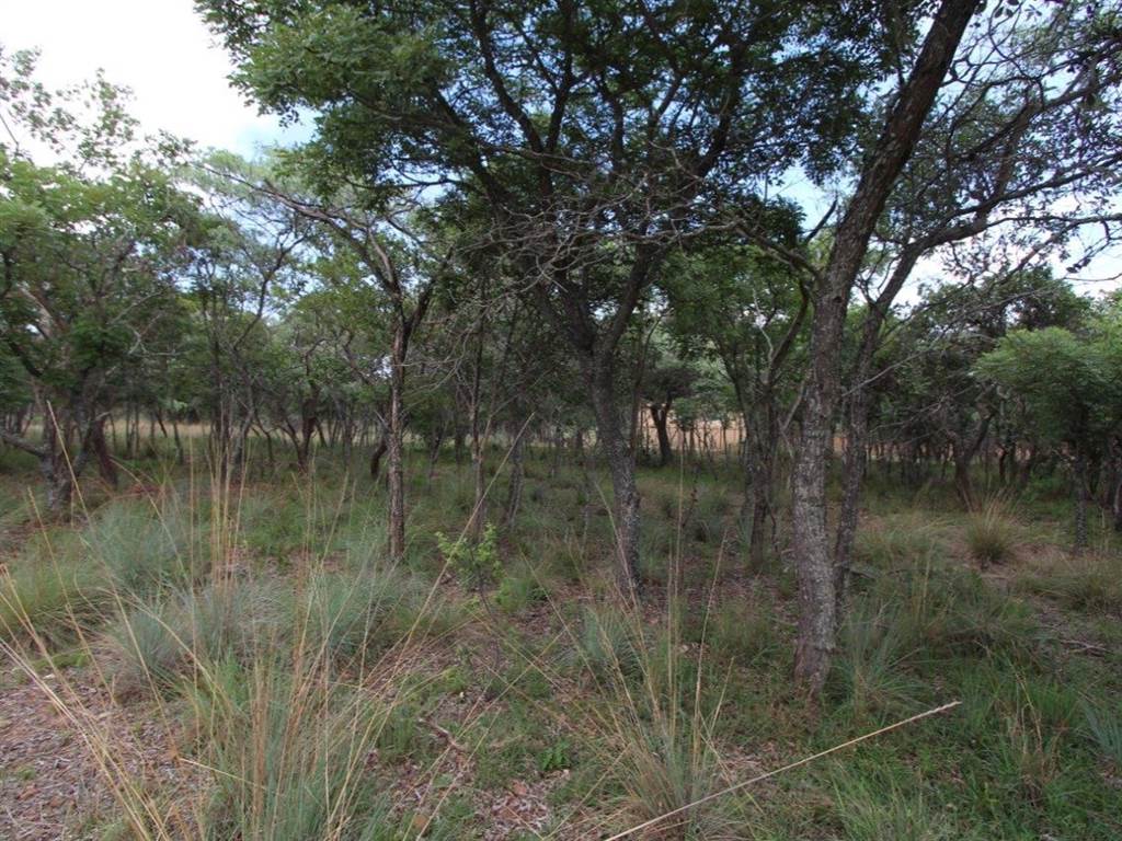 1004 m² Land available in Koro Creek Golf Estate photo number 4