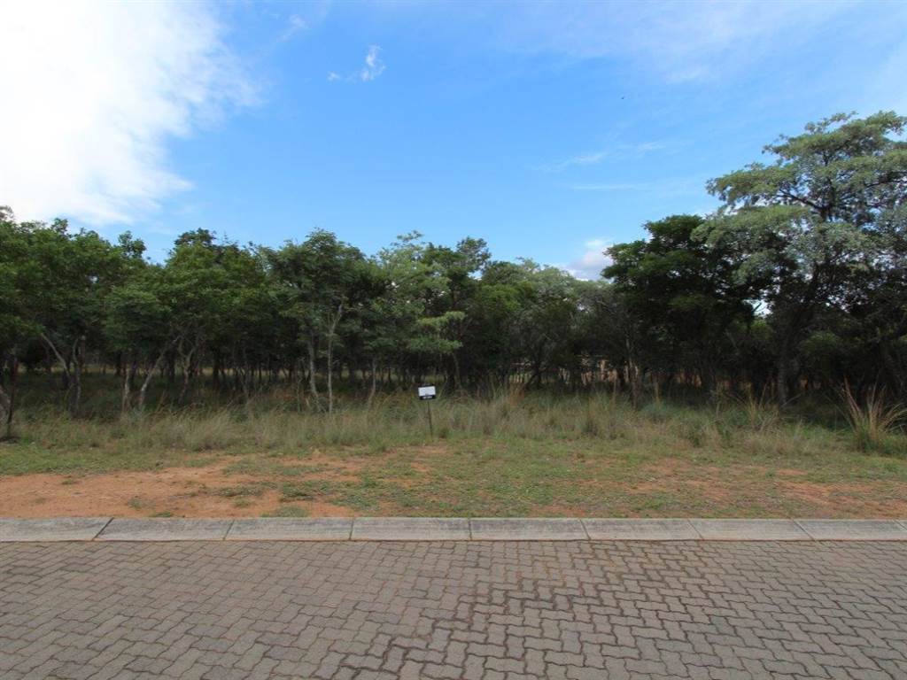 1004 m² Land available in Koro Creek Golf Estate photo number 1