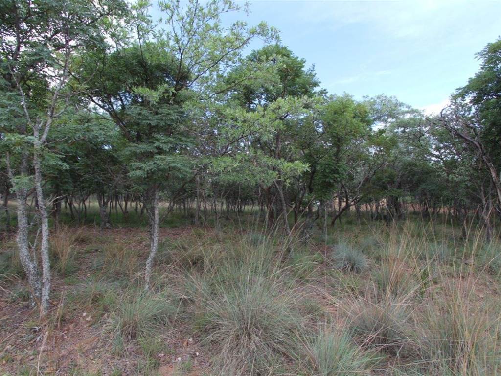 1004 m² Land available in Koro Creek Golf Estate photo number 3