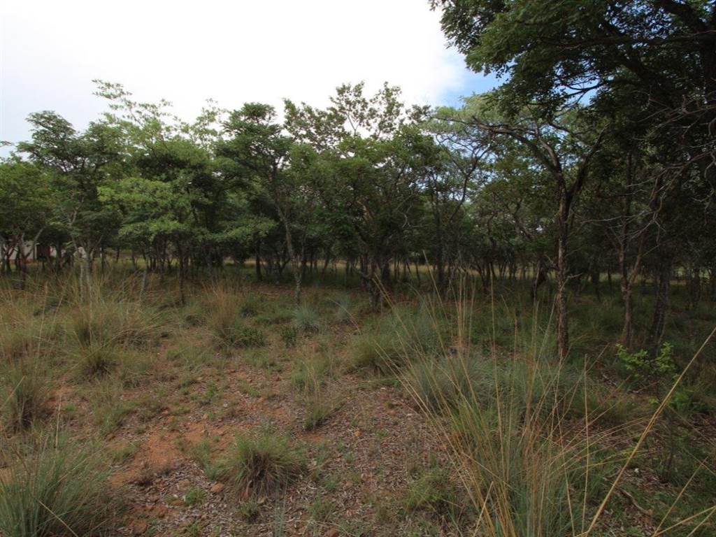 1004 m² Land available in Koro Creek Golf Estate photo number 5