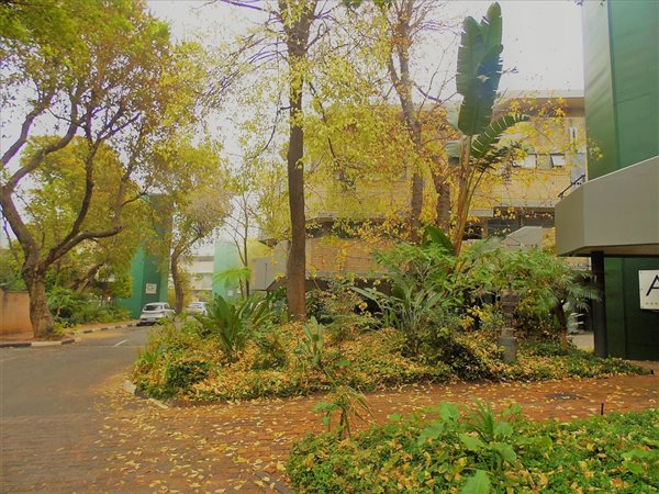 3 Bed Townhouse in The Gardens