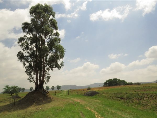 9.8 ha Farmland