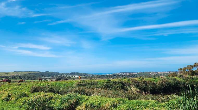 500 m² Land available in Hartenbos photo number 13