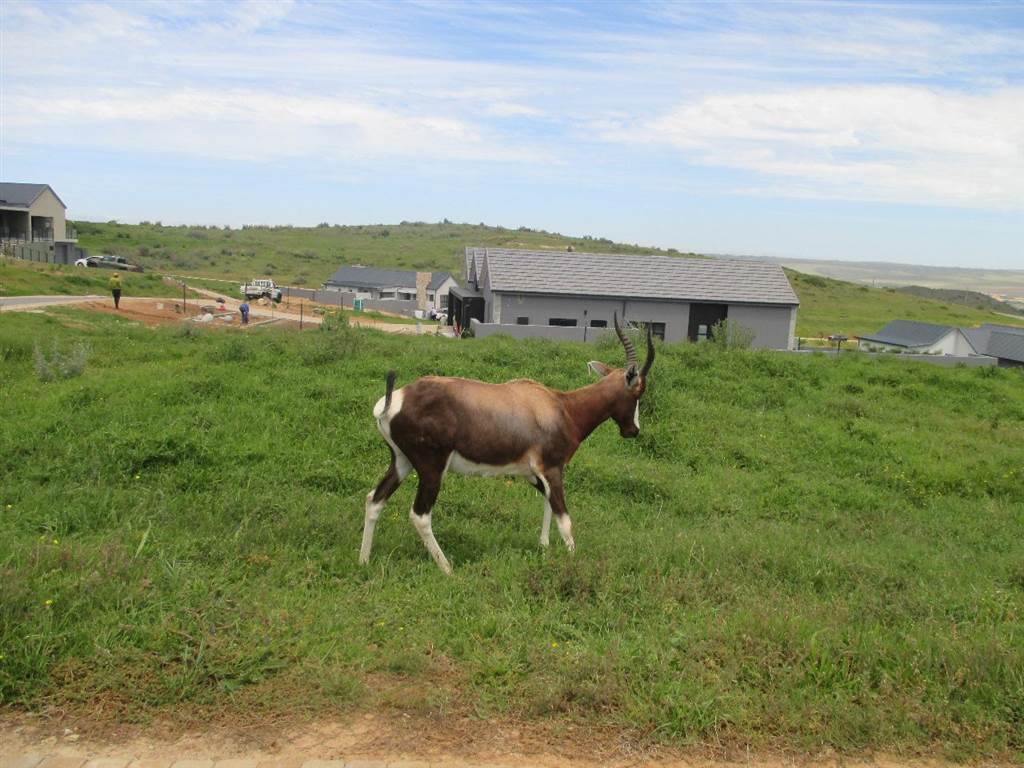 500 m² Land available in Hartenbos photo number 10