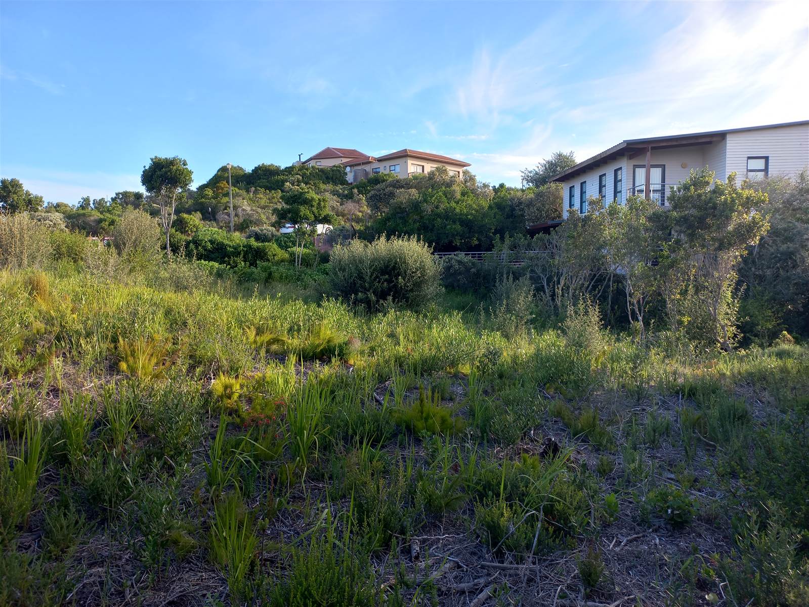 807 m² Land available in Cola Beach photo number 23