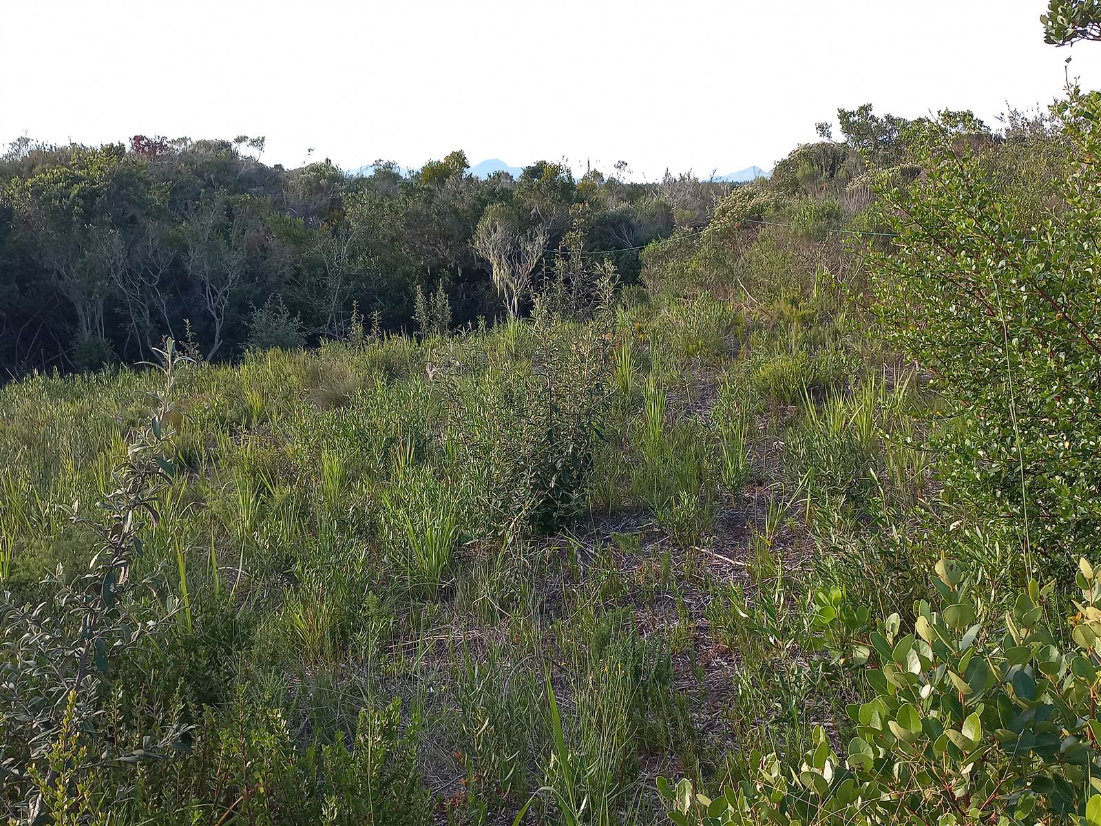 807 m² Land available in Cola Beach photo number 11