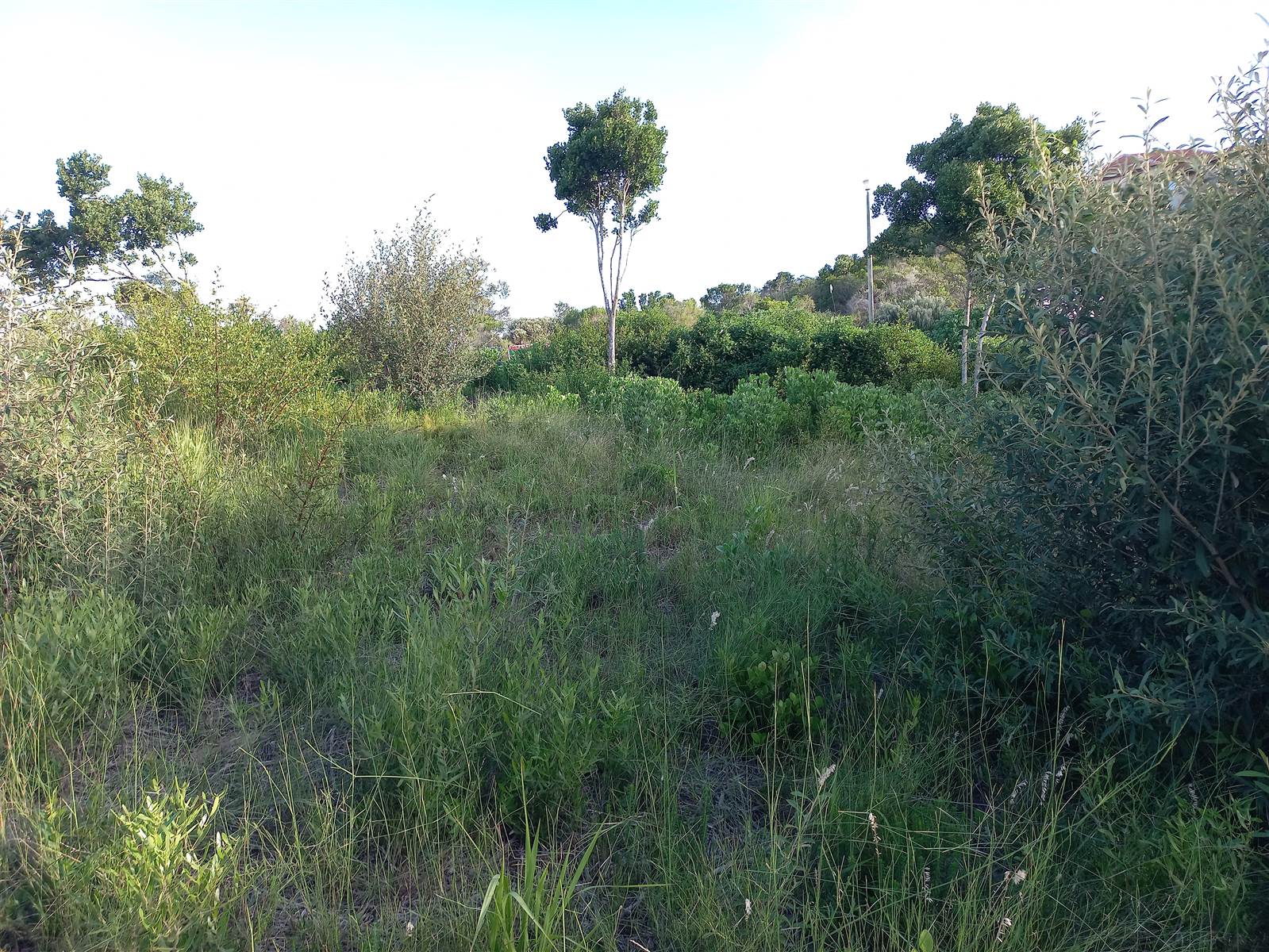 807 m² Land available in Cola Beach photo number 21