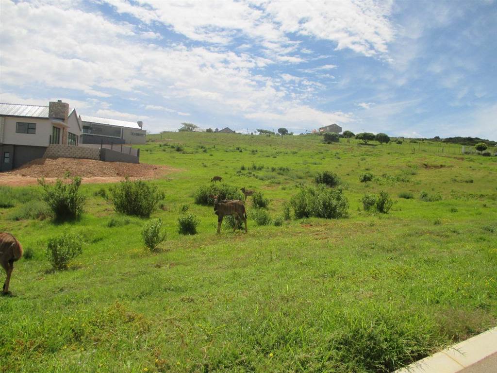 496 m² Land available in Hartenbos photo number 2
