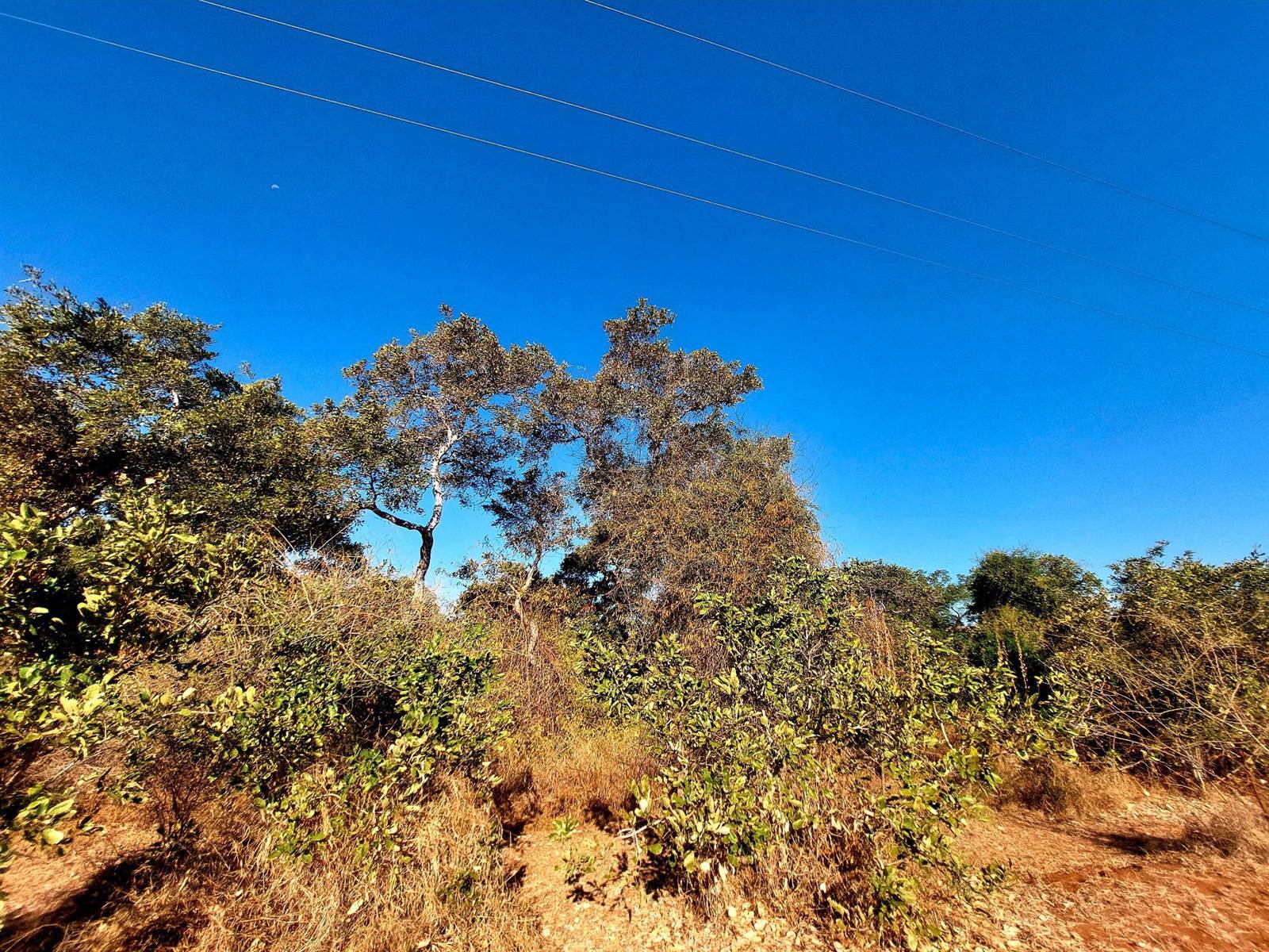 2400 m² Land available in Hoedspruit photo number 1