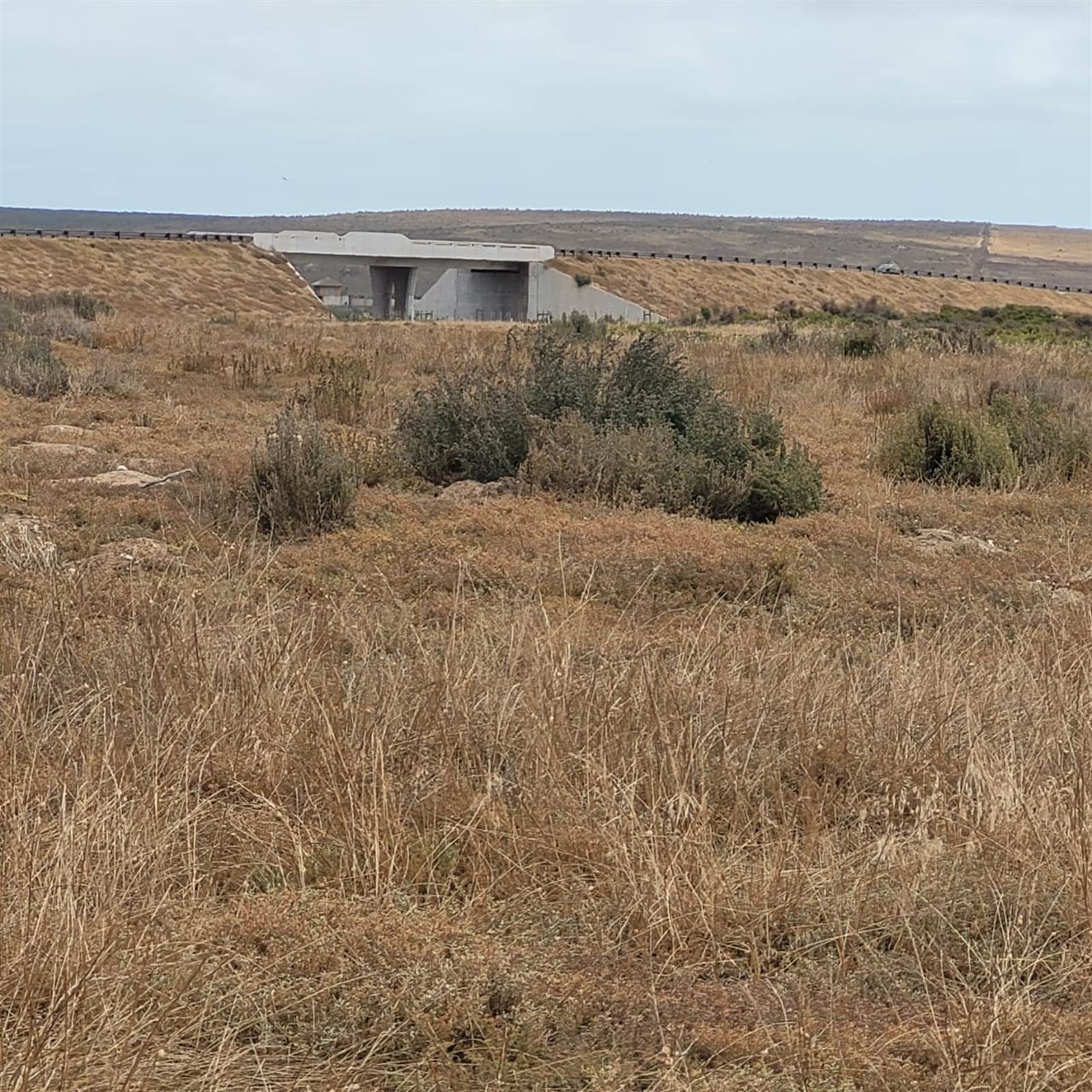 2865 m² Land available in Saldanha photo number 2