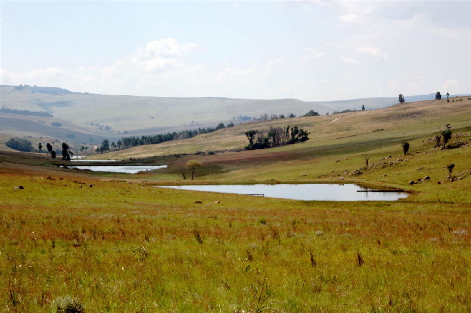 1 ha Land available in Dullstroom photo number 2