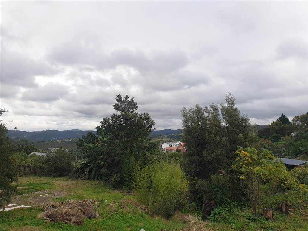 1093 m² Land available in Knysna Heights photo number 11