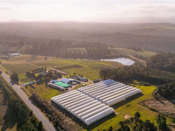 85 ha Farm with House