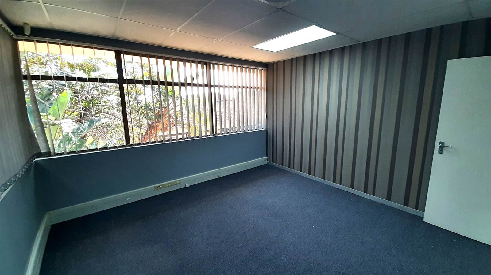 220  m² Commercial space in Westville photo number 10