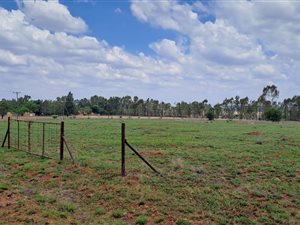 2.3 ha Smallholding in Lindequesdrif