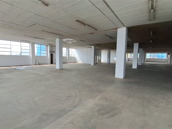 1260  m² Industrial space in Wynberg