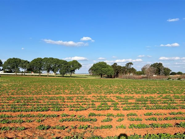 1.6 ha Land available in Droogefontein