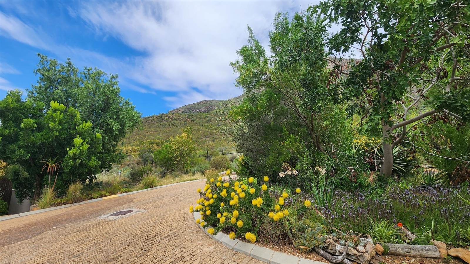 516 m² Land available in Piketberg photo number 7