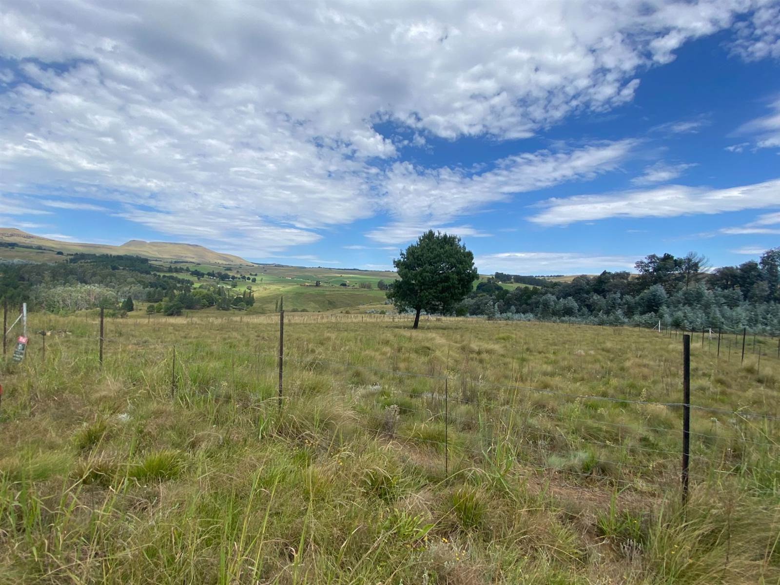 2504 m² Land available in Underberg photo number 1