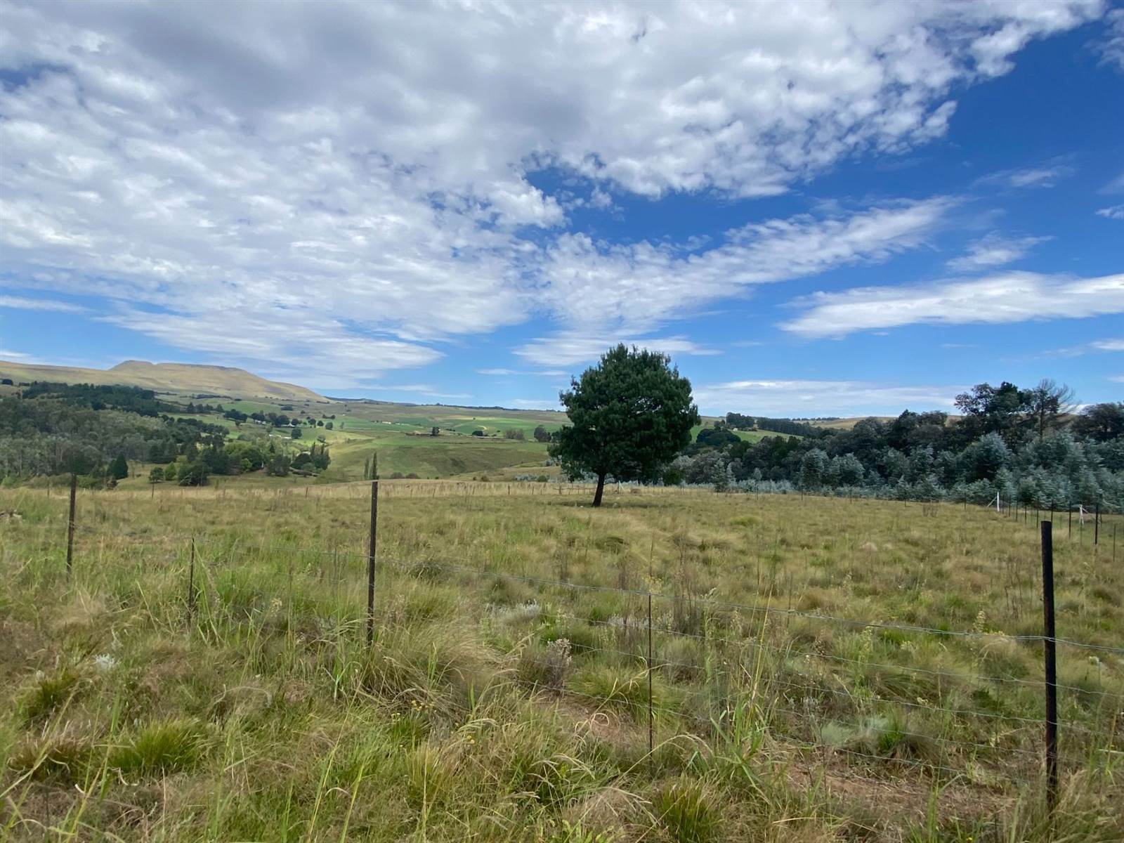 2504 m² Land available in Underberg photo number 2