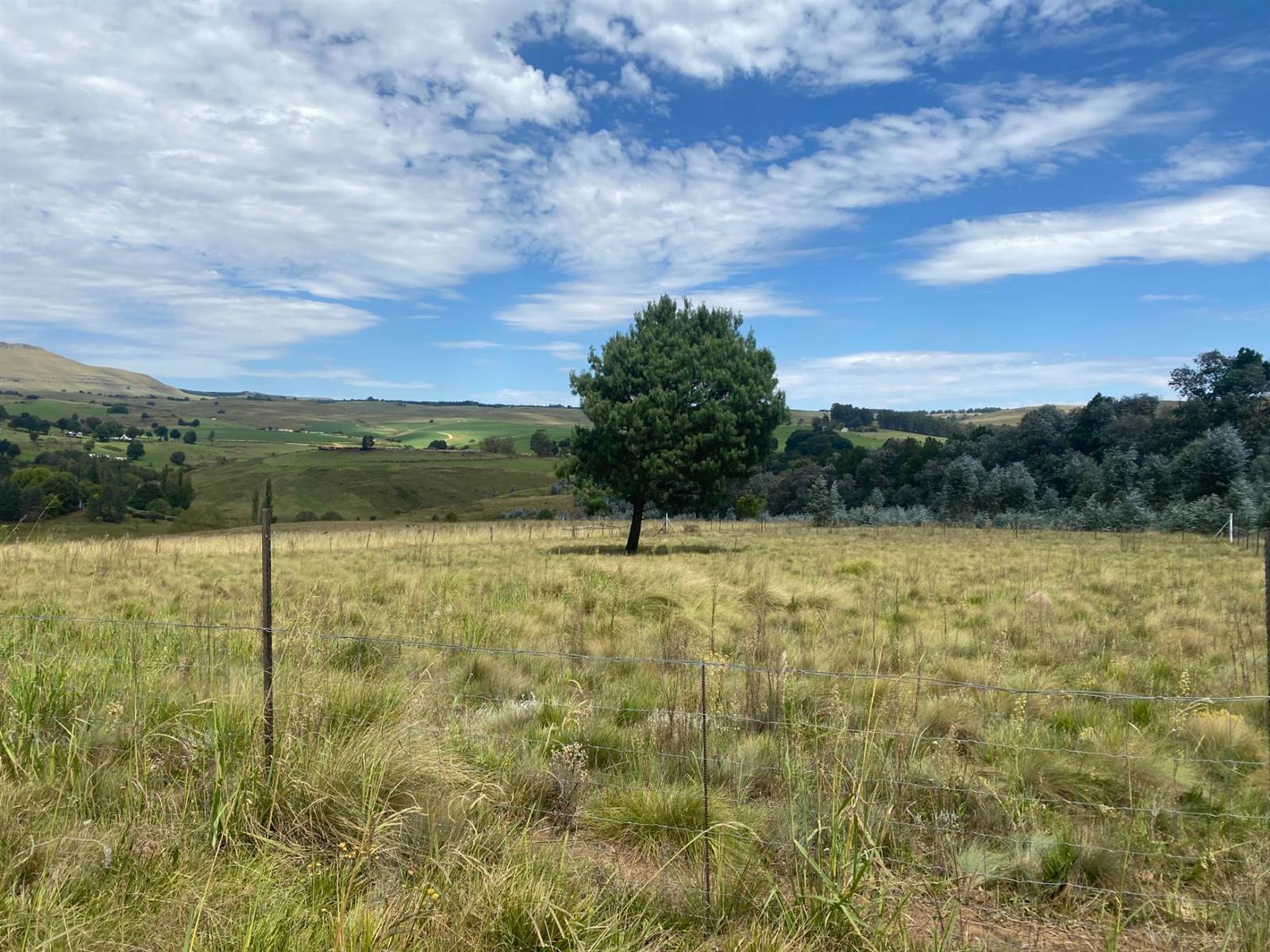 2504 m² Land available in Underberg photo number 3