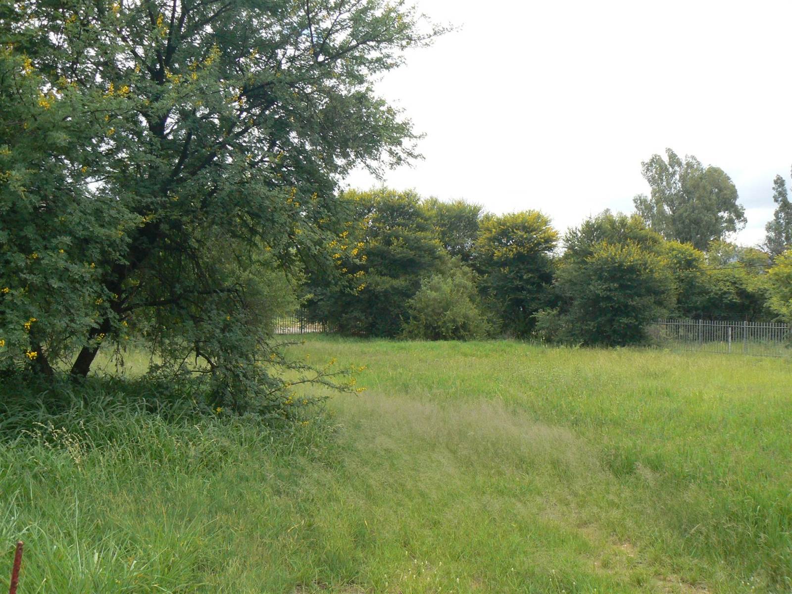 1078 m² Land available in Meerhof photo number 1