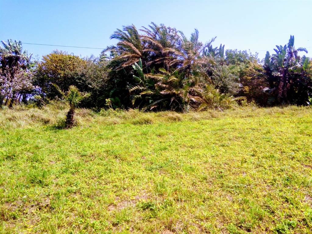 1441 m² Land available in Hibberdene photo number 9