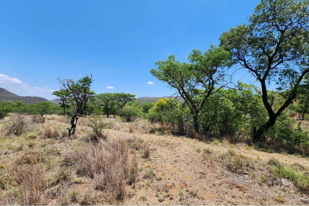 2500 m² Land available in Zwartkloof Private Game Reserve photo number 10