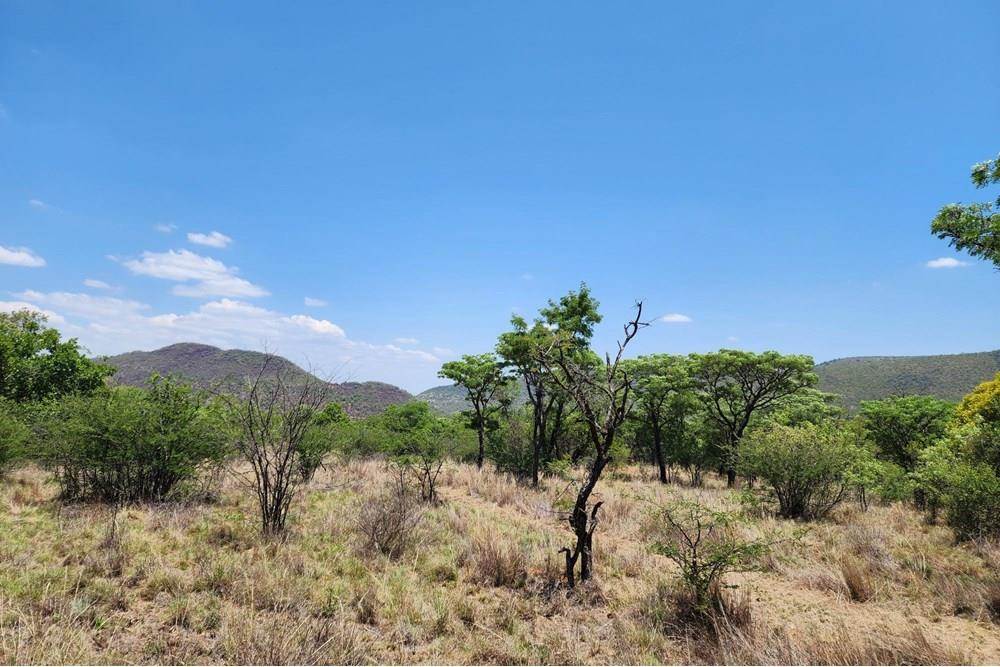 2500 m² Land available in Zwartkloof Private Game Reserve photo number 14