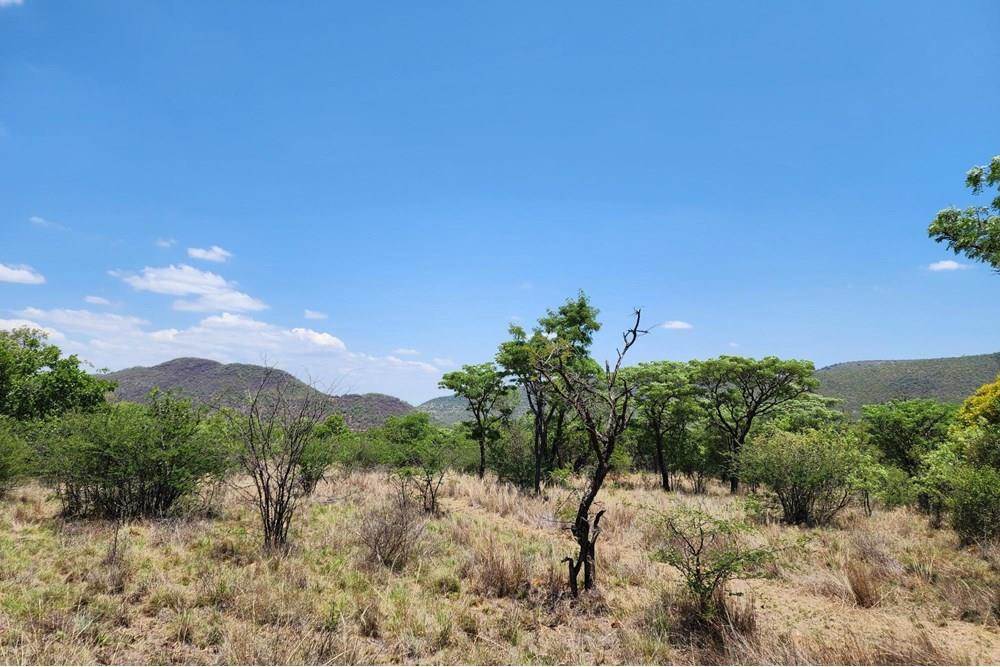 2500 m² Land available in Zwartkloof Private Game Reserve photo number 13