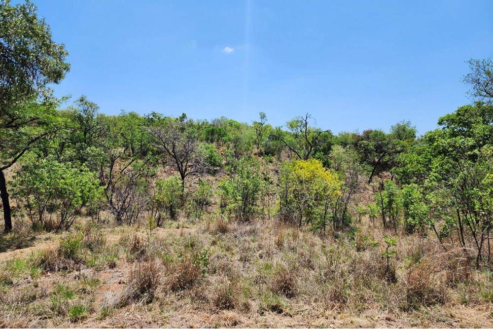2500 m² Land available in Zwartkloof Private Game Reserve photo number 9