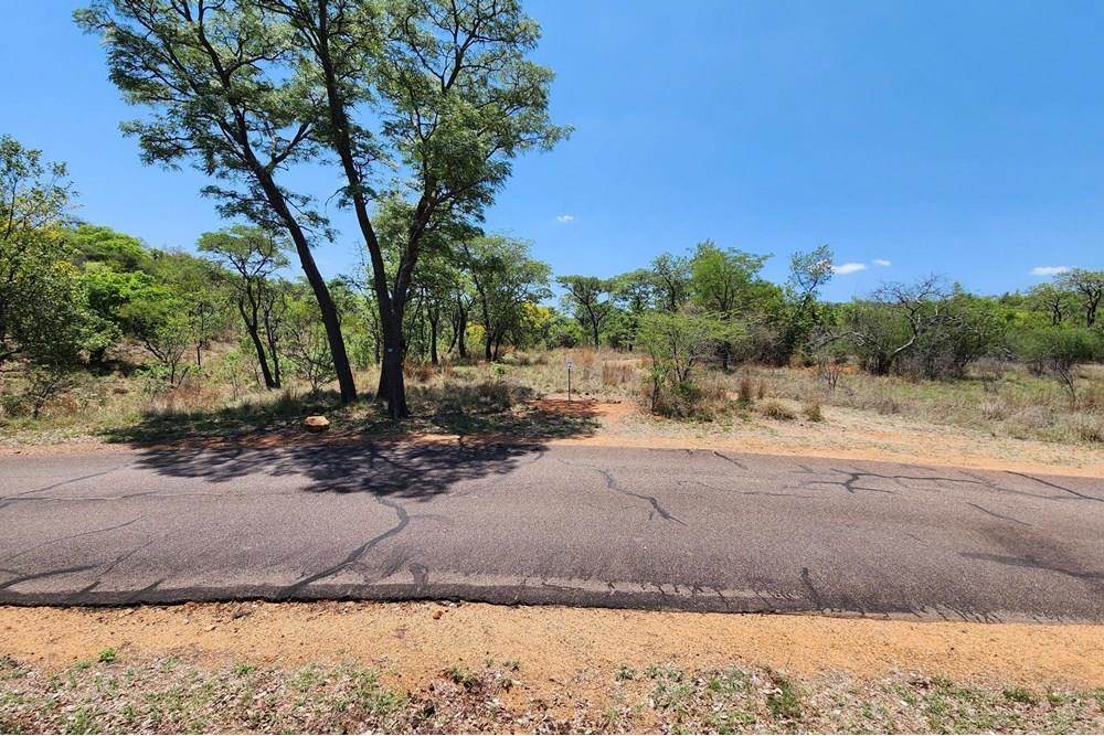 2500 m² Land available in Zwartkloof Private Game Reserve photo number 12