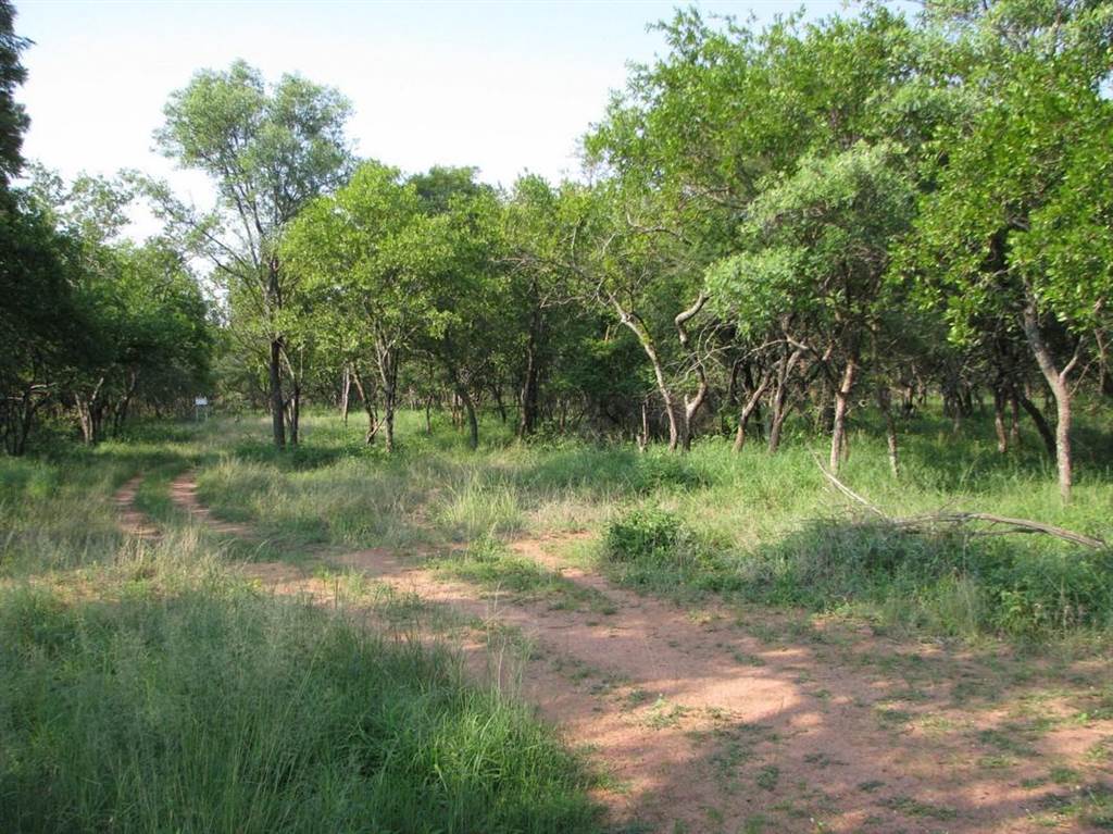 15 ha Land available in Naboomspruit photo number 3