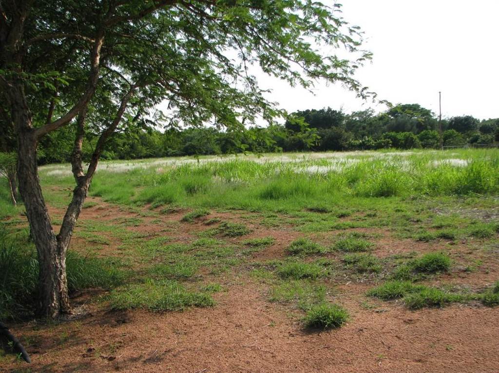 15 ha Land available in Naboomspruit photo number 6